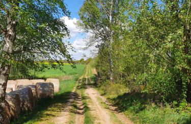 Anni's Waldblick - Foto 14