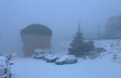 Biznaga Nevada - Foto 43