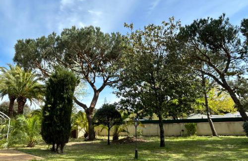 Villa avec piscine intérieur chauffée et parc privé au bord de mer à 3 minutes - Foto 22