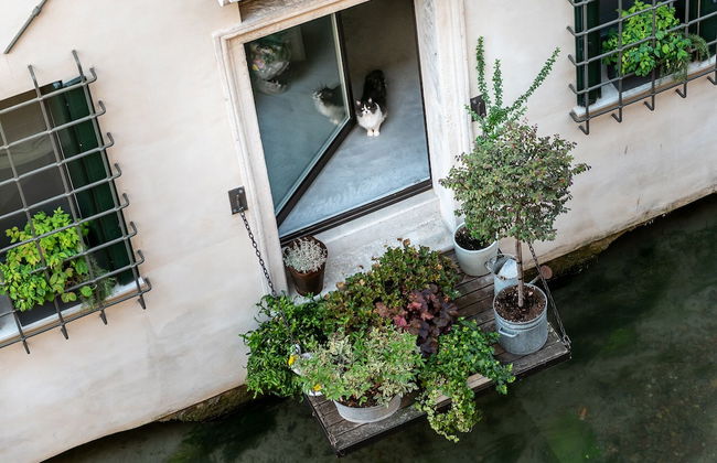 BURANELLI CHARME ROOMS - Photo 42