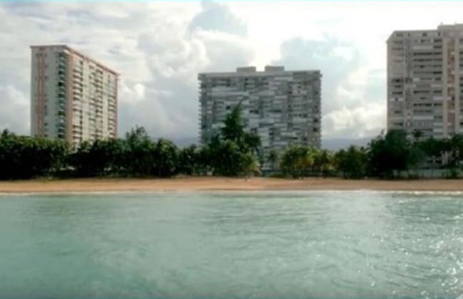 Gorgeous Beach Front Studio - Photo 11