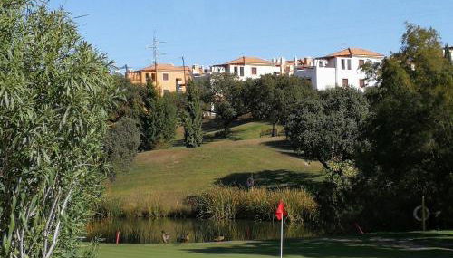 El laurel y el limonero. - Photo 5