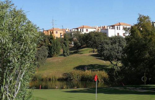 El laurel y el limonero. - Foto 5