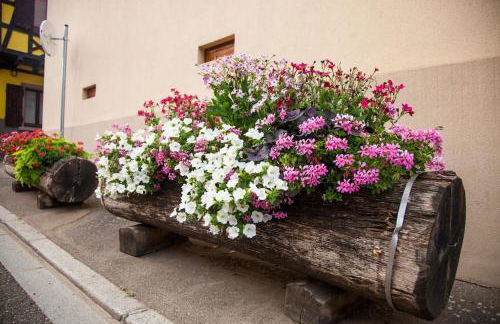 Gîte „La maison des épices“ - Foto 11