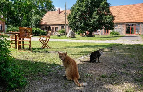 Ferienwohnungen Hof Luisenau - Foto 60