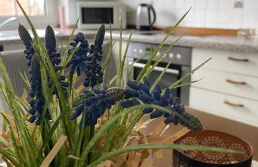 Ferienhaus am Hammrich - Foto 6