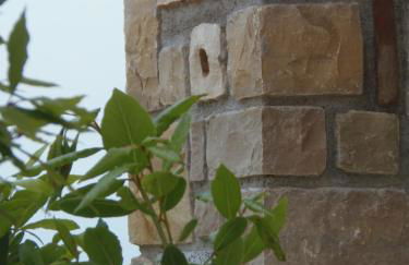 Residence Casale Pegol, Tignale - Foto 105