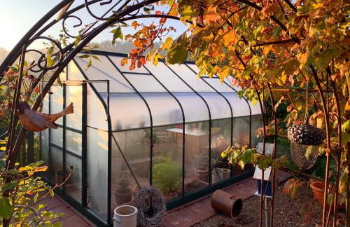 "GartenTraum" - FeWo in Marienmünster - Ostwestfalen - Foto 29