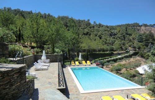 Quinta das Aveleiras - Foto 20