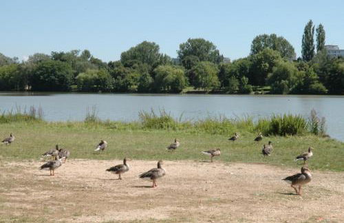 Le Faubourg-Raines - Chaleureux studio à 5mn de la gare - Foto 45