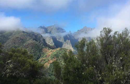 Quiet Place - Foto 40