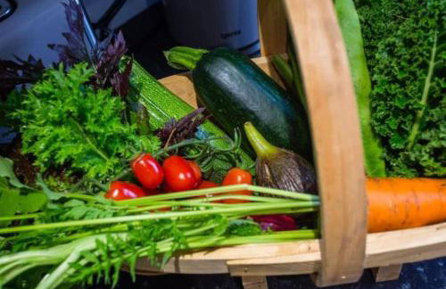 The Garden Flat - Ardullie Lodge - Photo 9