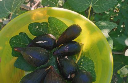 Borgo Santa Lucia - Photo 8