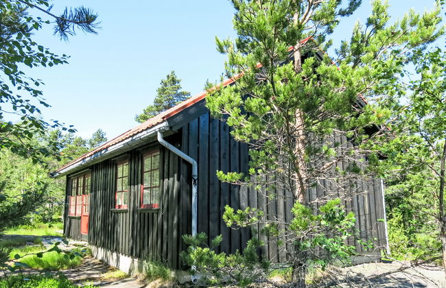 Førevanns Hytta - Foto 17