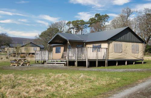 Curlew - Bleasdale - Foto 1