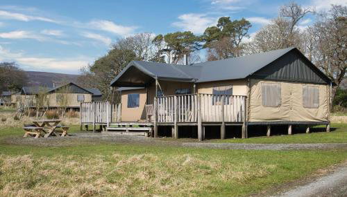 Curlew - Bleasdale - Foto 1