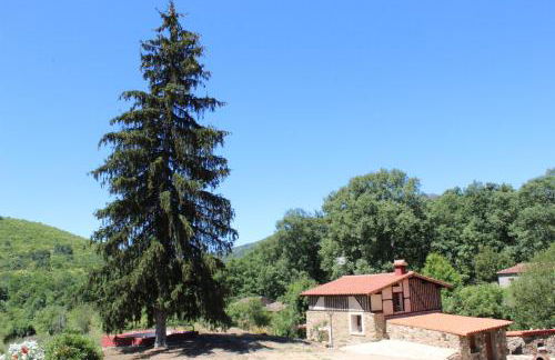 Alojamiento Turístico La alegría de la huerta - Foto 3