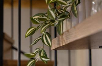 Samis Pelion LuxuryLiving - Foto 41