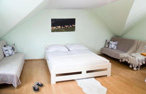 Miedzy Owcami Meeee - Foto 43