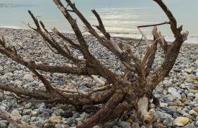 Le clapotis de l'Ô, calme, balcon sur la mer, à 2 h de Paris - Foto 53