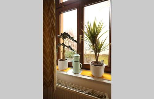 Ferienwohnung Enjoy Gӧrlitz - Parkplatz - Foto 22