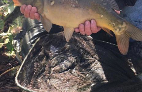 Malswick Mill - Photo 16