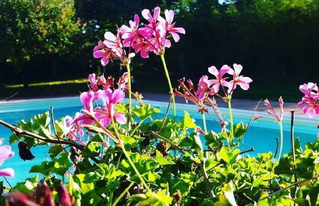 Agriturismo Il Sole Verde - Foto 65