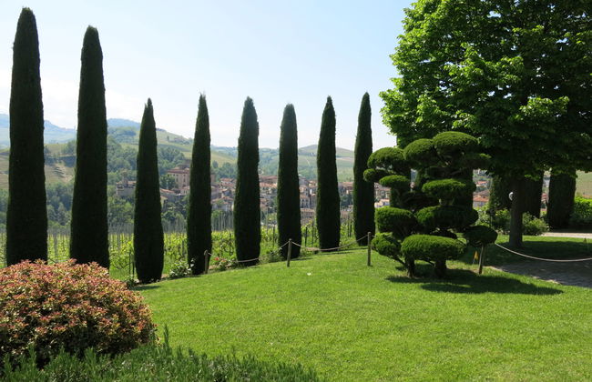 Baroncelli - Foto 28