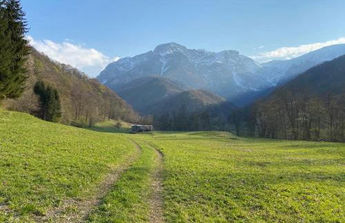 Relax, Comfort & Alps Adventures - Photo 11