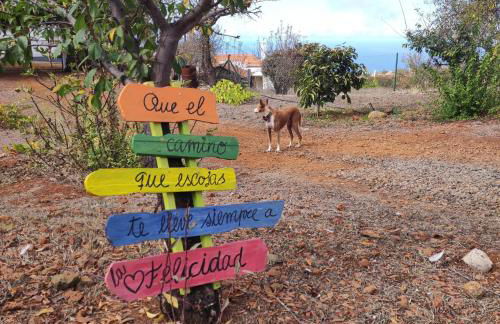 Casa El Sitio - Foto 49