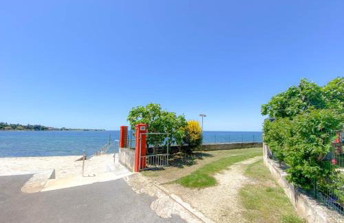 Belvedere gore - Photo 30