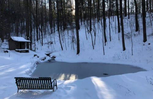 Bird's Nest cabin at Cabin Fever in NC - Foto 20