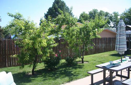 Fly Away Home - Foto 56