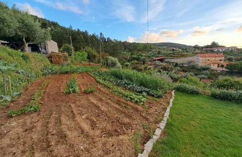 A Casa dos Avós - Alojamento Local - Foto 11