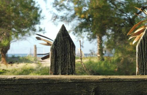 Palm tree house by the beach - Foto 25