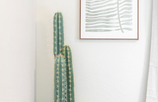 Primrose Palace - Foto 26