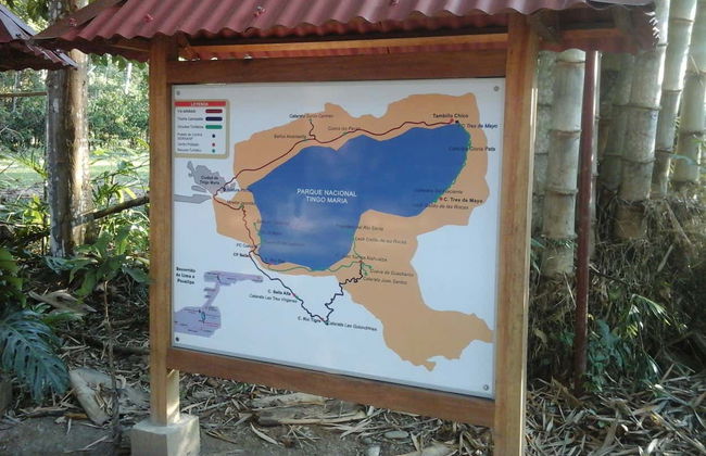 Escursione al Parco Nazionale Tingo María - Foto 2