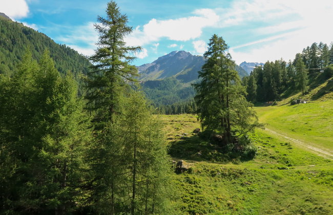 Mont Fort 55 - Foto 19