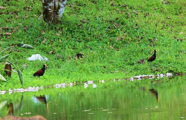 Hotel Finca L’Étoile Celeste - Foto 30
