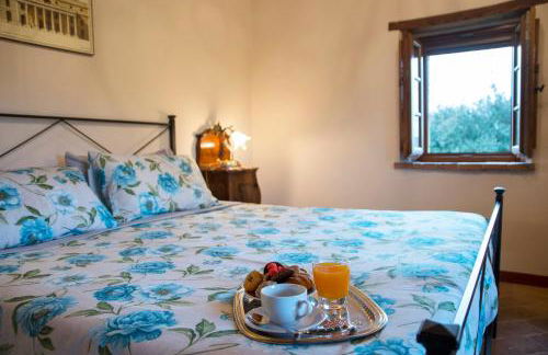 Podere Cerciano - Foto 17