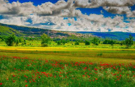 Villa Drazana - Makarska by Villas Guide - Foto 30