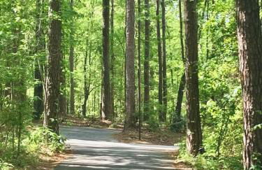 Cozy basement apartment - Foto 26