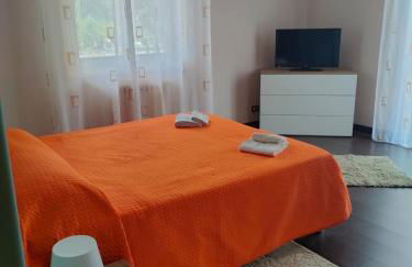 Il tulipano - Foto 17