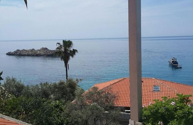 Apartments Andjus - Foto 56