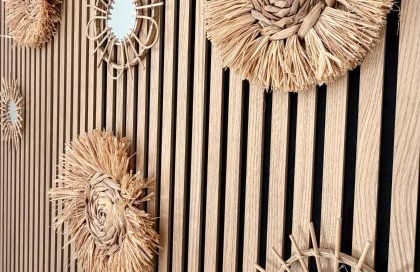 La Villa Vaihéré en Camargue, l'Hibiscus et le Magnolia - Foto 43