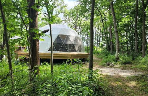 Bunny Bungalow Romantic Getaway in a Spacious Geodome - Foto 46