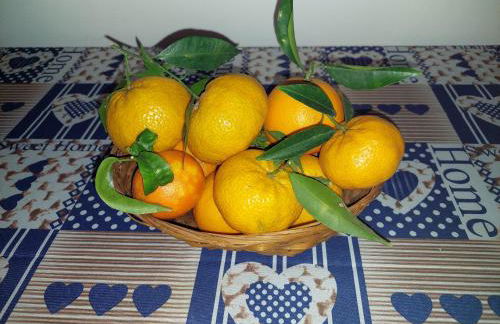 Casetta Relax da Antonio - Foto 15