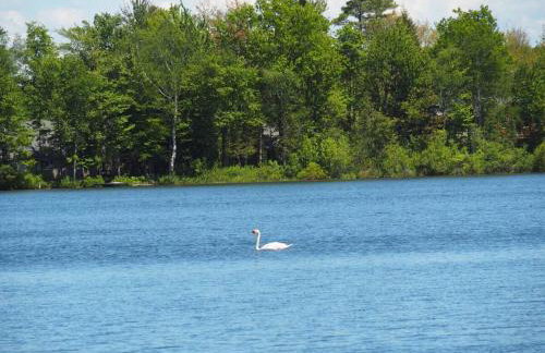 Bass Bay Getaway | Lakefront Family Cottage - Foto 49