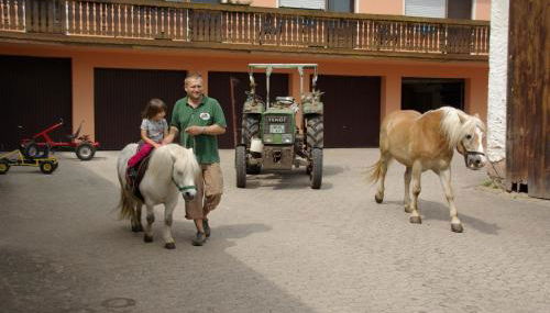 Ferienhof Amslinger - Foto 4