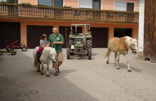 Ferienhof Amslinger - Foto 4